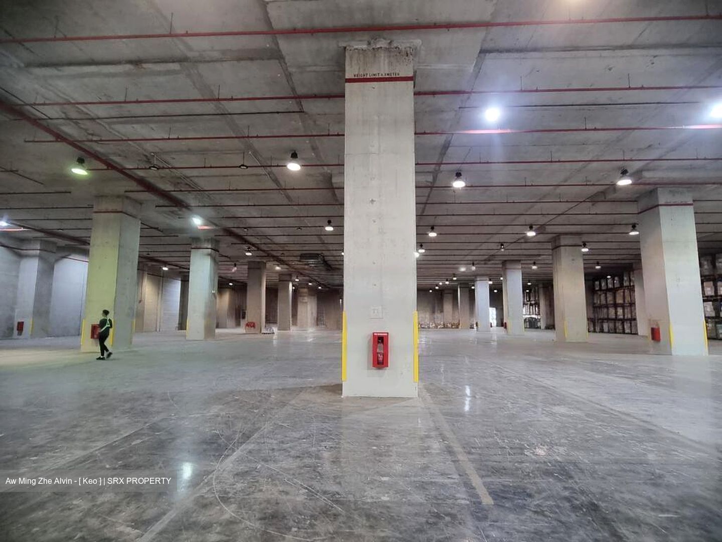Gul Crescent (D22), Factory #565766221